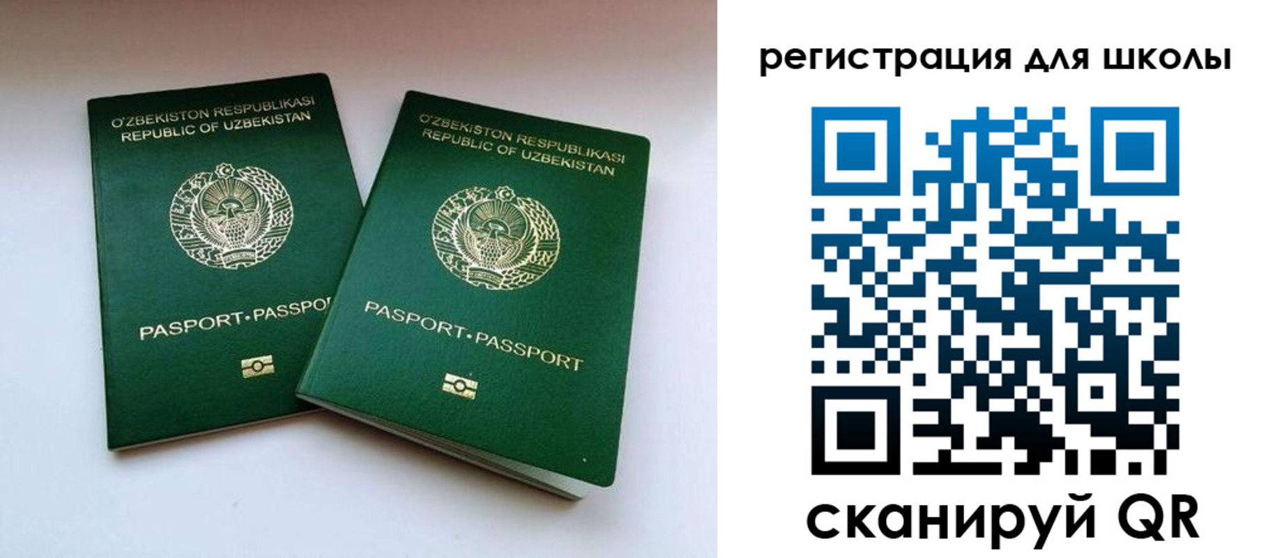 прописка для школы в Георгиевске